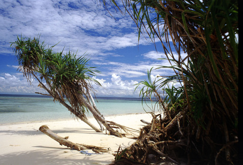 borneo - pulau sipadan.jpg